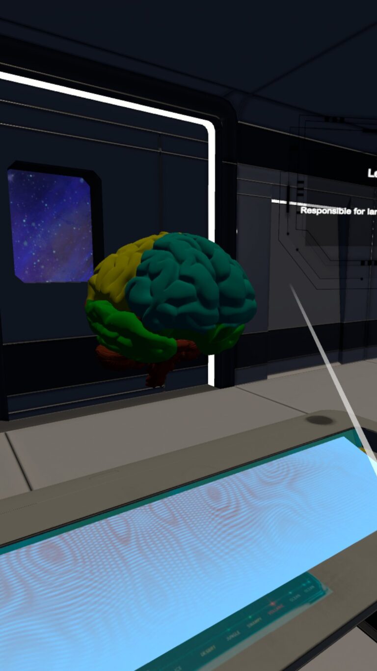 Galería Human Brain Puzzle