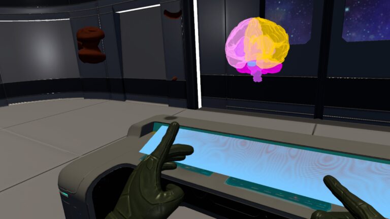 Galería Human Brain Puzzle