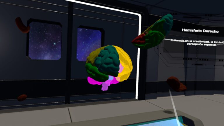 Galería Human Brain Puzzle