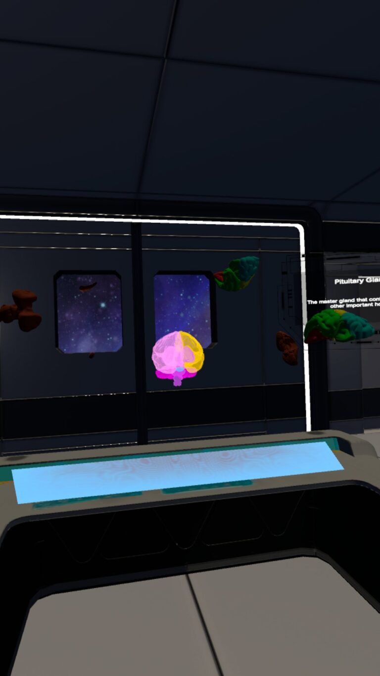 Galería Human Brain Puzzle