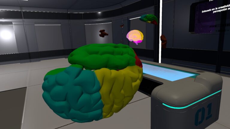 Galería Human Brain Puzzle